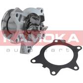 Pompa dell’acqua, raffreddamento motore KAMOKA - T0204