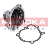 Pompa dell’acqua, raffreddamento motore KAMOKA - T0233