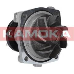 Pompe à eau KAMOKA - T0011