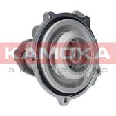 Pompe à eau KAMOKA - T0038