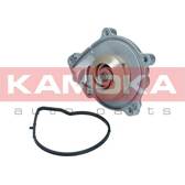 Pompe à eau KAMOKA - T0050