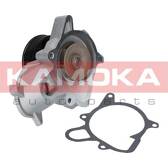 Pompe à eau KAMOKA - T0053