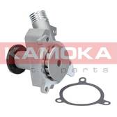 Pompe à eau KAMOKA - T0054