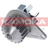 Pompe à eau KAMOKA - T0083