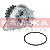 Pompe à eau KAMOKA - T0089