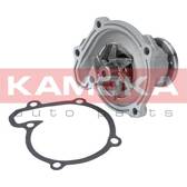 Pompe à eau KAMOKA - T0218