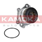 Pompe à eau KAMOKA - T0222