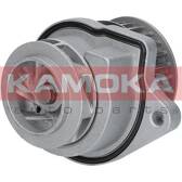 Pompe à eau KAMOKA - T0248