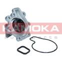 Pompe à eau KAMOKA - T0292