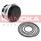 Water Pump, engine cooling KAMOKA - T0273