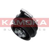 Water Pump, engine cooling KAMOKA - T0278