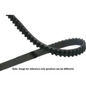 Timing Belt KAVO PARTS - DTB-5519