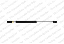 Bonnet gas struts