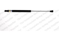 Bonnet gas struts
