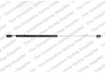 Bonnet gas struts