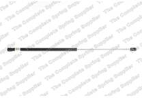 Bonnet gas struts