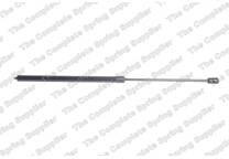 Bonnet gas struts