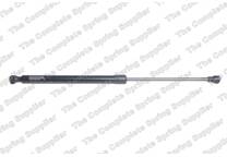 Bonnet gas struts