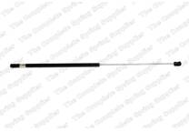 Bonnet gas struts