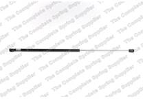 Bonnet gas struts