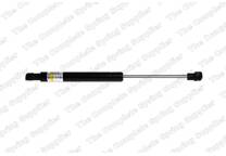 Bonnet gas struts