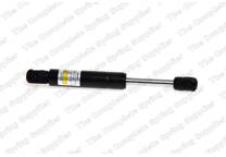 Gas Spring, bonnet