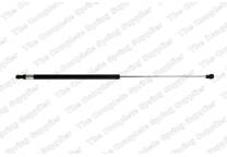 Gas Spring, bonnet