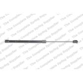 Vérin De Coffre Hayon Pour Citroën DS5 2.0 HDI 165, 1.6 THP 155/200 - TRISCAN