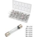 Glass fuses assortment, 5-30A, 120 pcs KS TOOLS - 970.0270