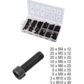 Assortimento di viti a esagono incassato in acciaio inox, metriche, 106 pz. KS TOOLS - 970.0390