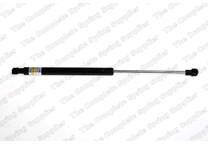 Bonnet gas struts