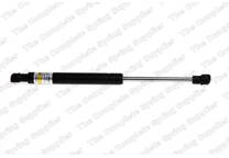 Bonnet gas struts