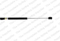Bonnet gas struts