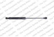 Bonnet gas struts