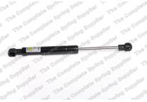 Bonnet gas struts
