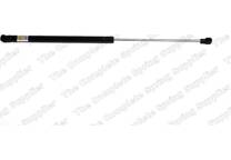 Bonnet gas struts