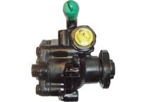 Hydraulikpumpe, Lenkung