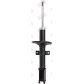 Ammortizzatore LTM - C28484