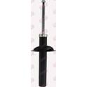 Shock absorber (sold individually) LTM - C58148