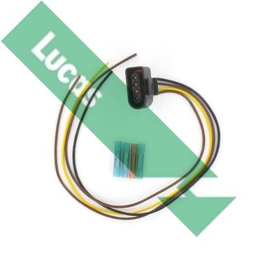 Plug, coil