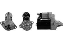 Startmotor (Gereviseerd)
