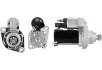 Startmotor (Gereviseerd)