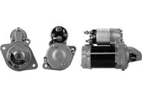 Startmotor (Gereviseerd)
