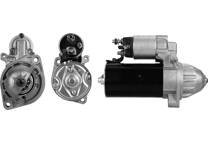 Startmotor (Gereviseerd)