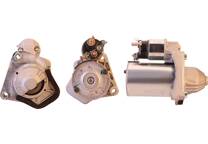Startmotor (Gereviseerd)