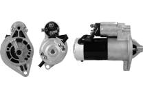 Startmotor (Gereviseerd)