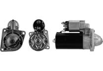 Startmotor (Gereviseerd)