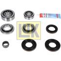 Repair Kit, differential LuK - 462 0215 10