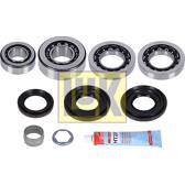 Repair Kit, differential LuK - 462 0330 10