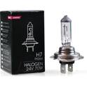 1 H7 bulb - 24V 70W M-Tech - Z907